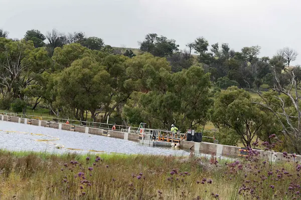 Dumaresq Dam (5)